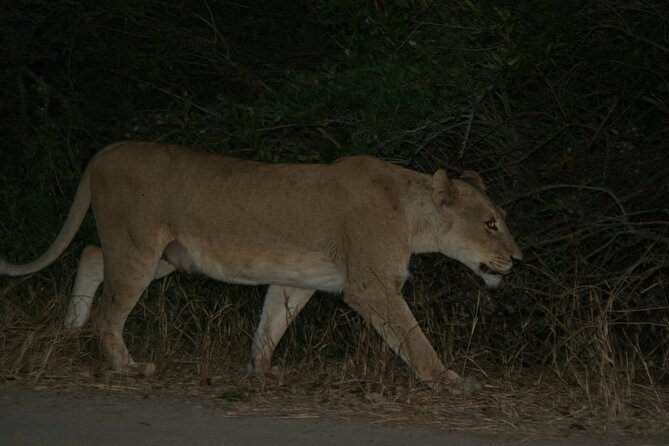 Package Image